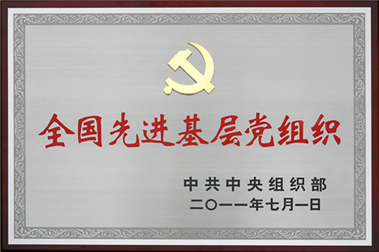 全国先进基层党组织