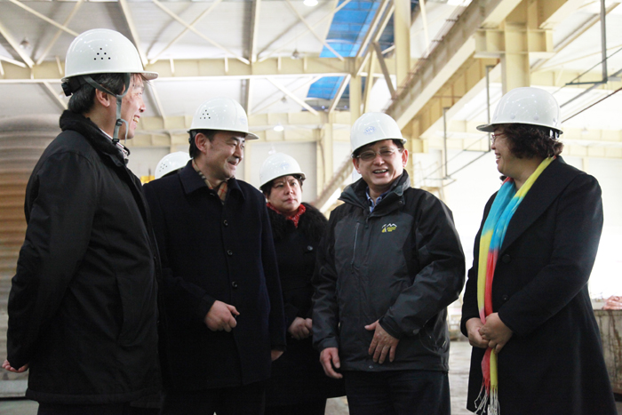 国家公务员局副局长杨春光来中色东方集团公司调研