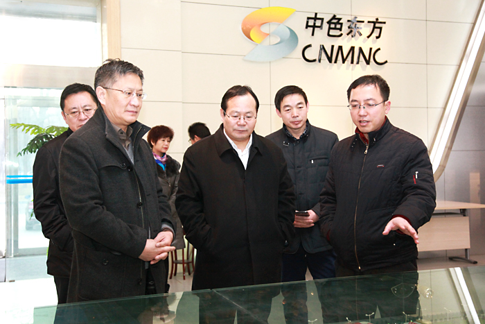 石嘴山市副市长王生林到中色东方集团公司调研
