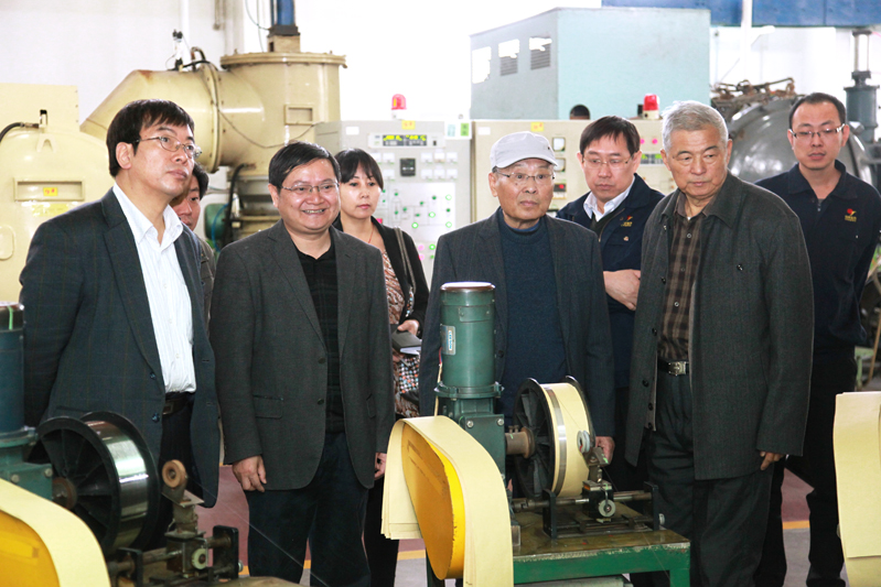 中国工程院院士周廉来中色东方集团公司调研