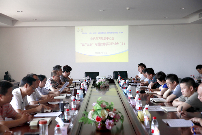中色东方集团公司党委召开“三严三实”专题教育第一次学习研讨会
