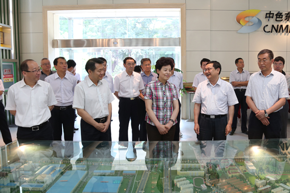 自治区代主席咸辉到集团公司调研