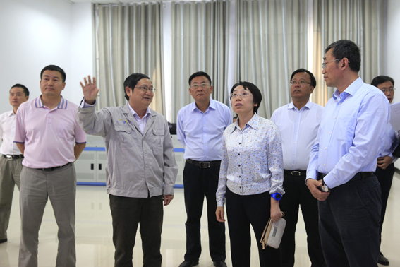 国务院第十九督察组来集团公司开展督查