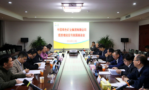 中国有色集团提质增效扭亏脱困座谈会在集团公司召开