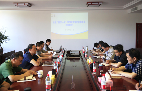 集团公司党委召开推进“两学一做”学习教育常态化制度化工作会议