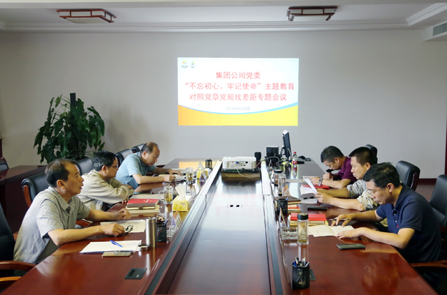 集团公司党委召开“不忘初心、牢记使命”主题教育对照党章党规找差距专题会议