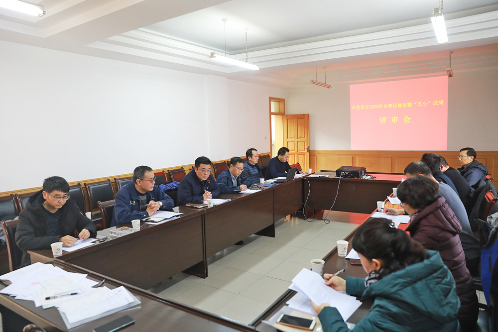 集团公司召开合理化建议暨“五小”成果评审会