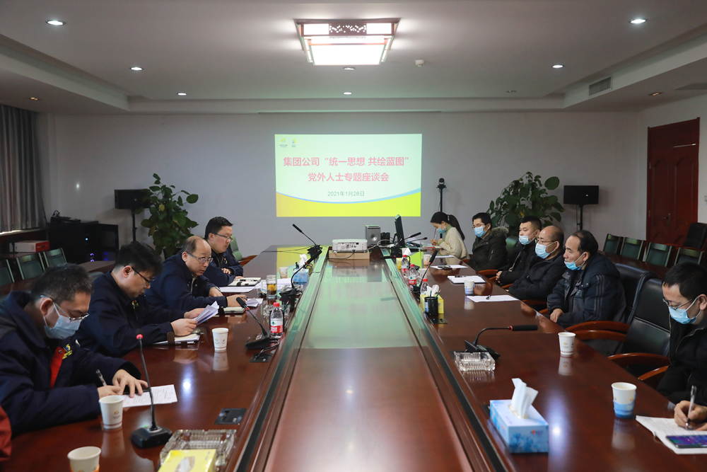 集团公司召开“统一思想，共绘蓝图”党外人士专题座谈会   