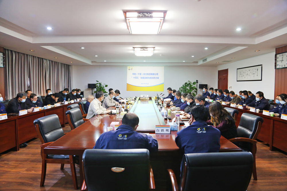 集团公司召开“十四五”发展战略与规划研讨会