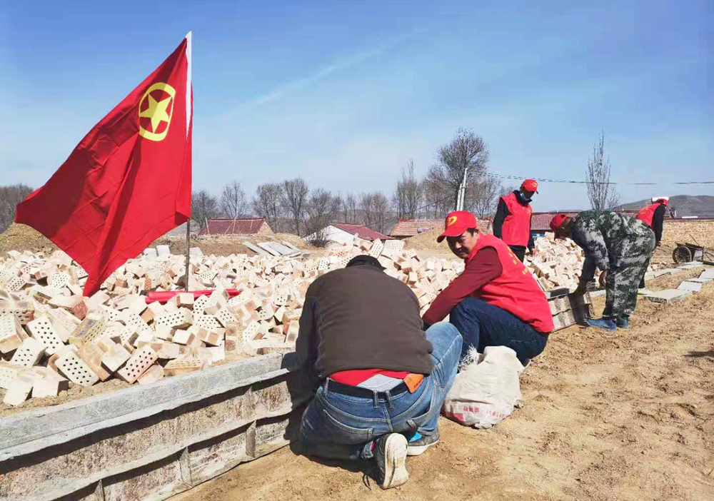 集团公司定点扶贫村开展“3.5”学雷锋志愿服务活动