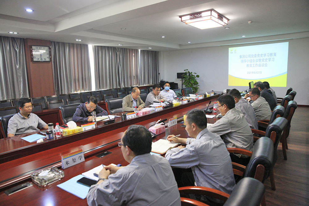 集团公司党委召开党史学习教育领导小组会议暨党史学习教育工作座谈会