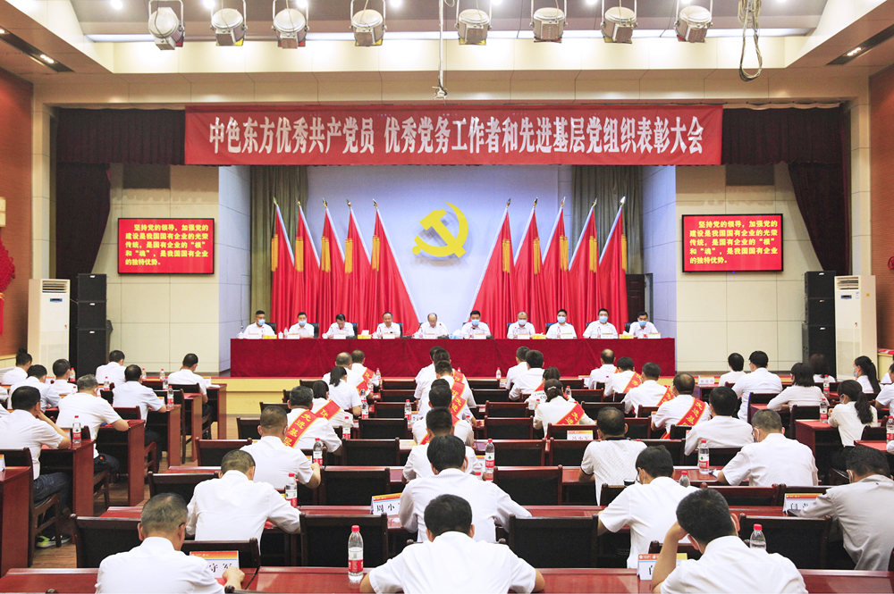 集团公司召开优秀共产党员、优秀党务工作者和先进基层党组织表彰大会