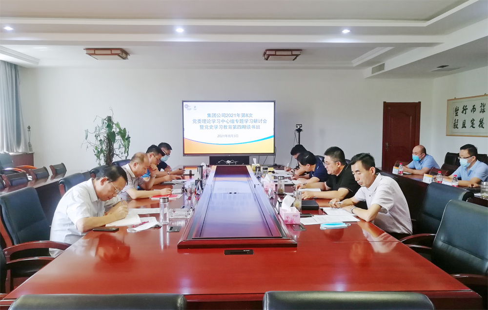 集团公司领导班子成员专题学习研讨习近平总书记“七一”重要讲话精神