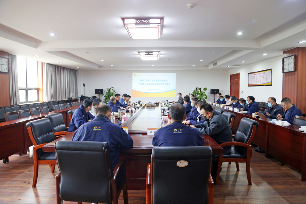 集团公司召开“十四五”发展战略与规划领导小组研讨会