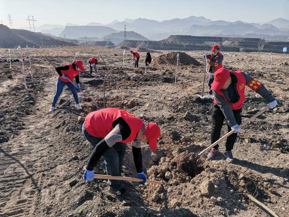 集团公司开展“植树填绿践初心”志愿服务活动   