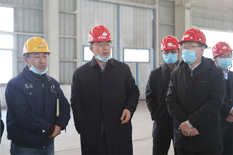 奚正平董事长赴中色东方调研并现场督导中央生态环保督察问题整改工作